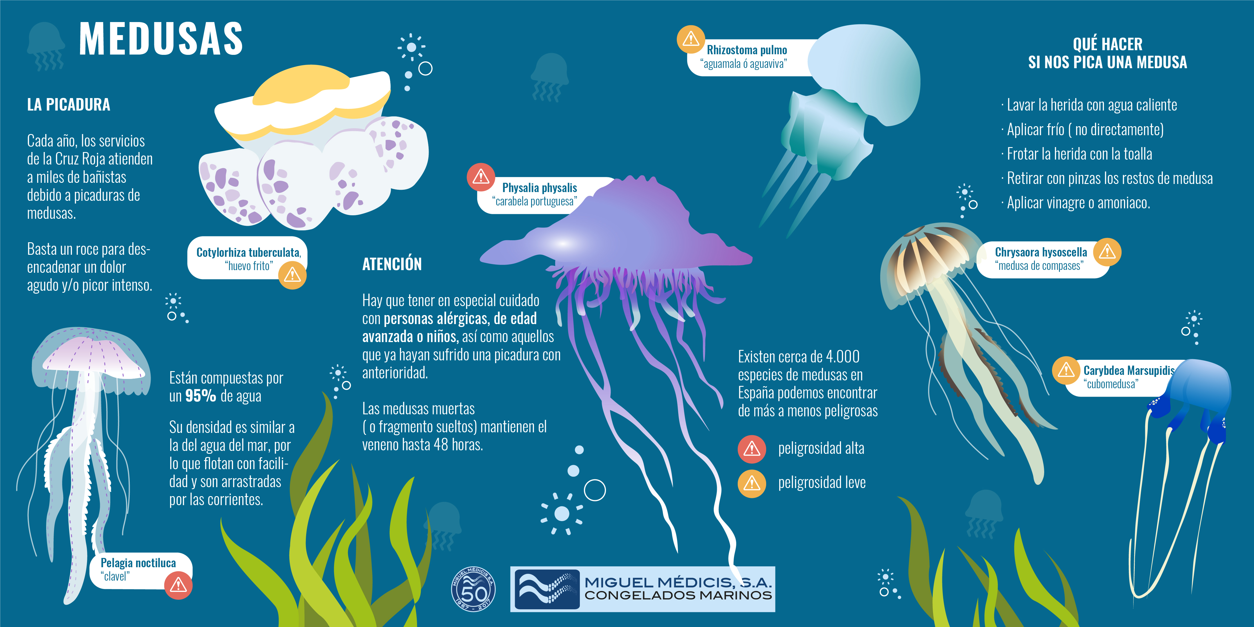 Remedio para las picaduras de medusa